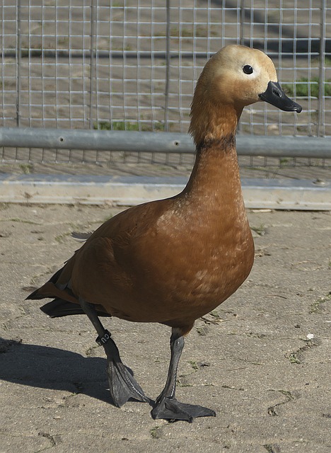 他城市未来