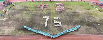 仅是一个单 仅是一个单