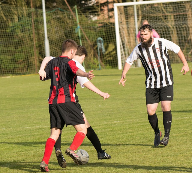 今年的全国 今年的全国