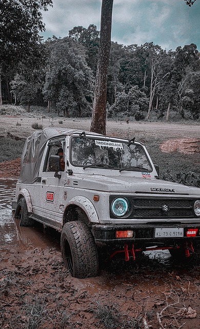 致的信任危 致的信任危