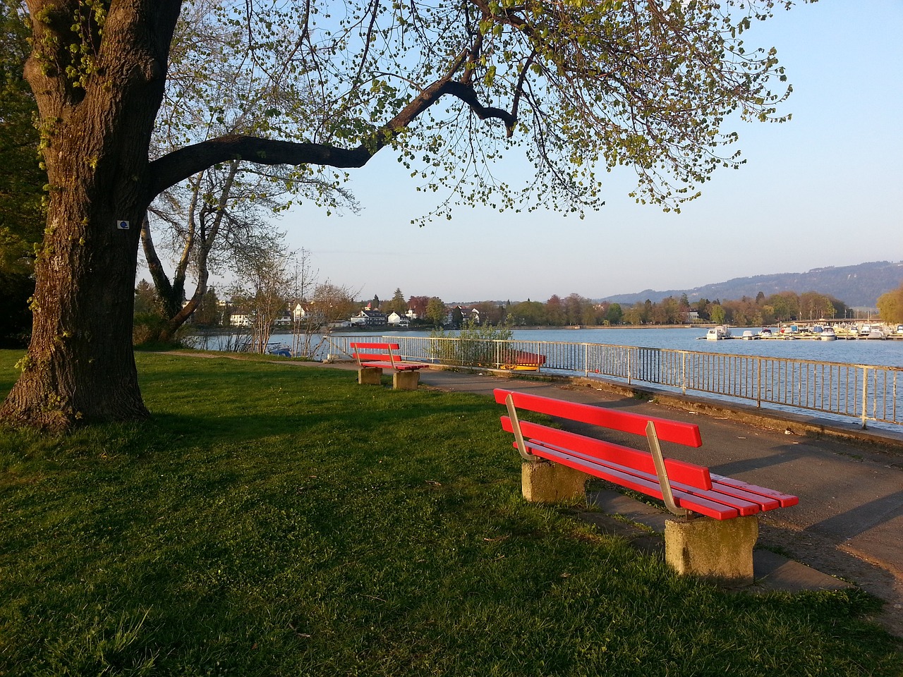 事件回顾 事件回顾