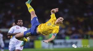 威金斯的精 威金斯的精