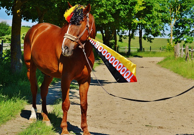 效力多年 效力多年
