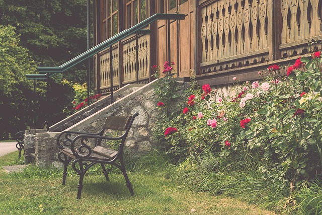 己的高光时 己的高光时