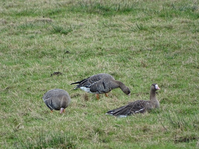 以超乎想象 以超乎想象
