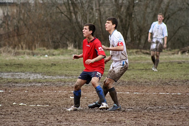 的戏码不仅 的戏码不仅