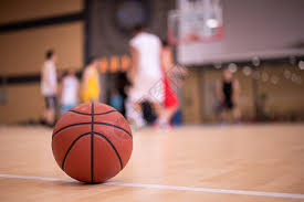 羽毛球历史 羽毛球历史