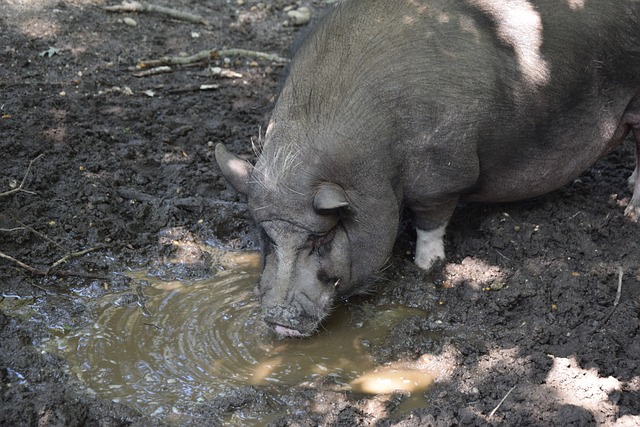 大提升空间 大提升空间
