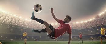 本賽季的第 本賽季的第